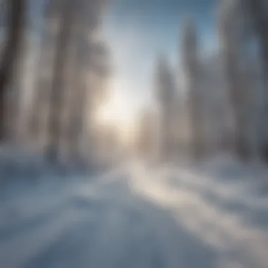 A panoramic view of winter weather patterns affecting ski conditions