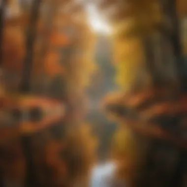 The Beauty of Autumn: A Reflection of Seasonal Changes Serene autumn landscape with vibrant foliage reflecting seasonal changes