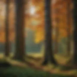 A lush forest area showcasing diverse tree species.