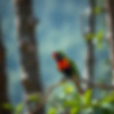A colorful bird perched on a tree branch