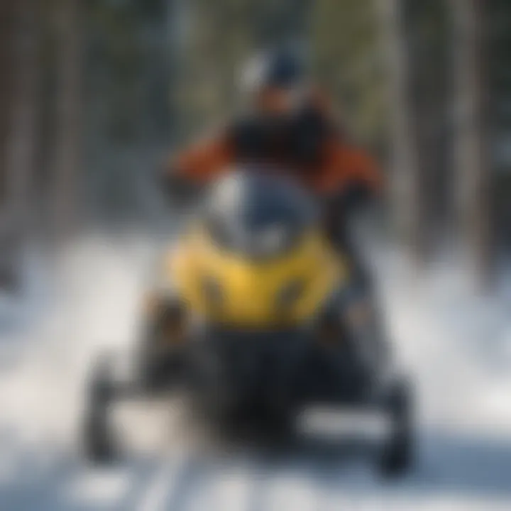 Consumer trends in snowmobile purchases