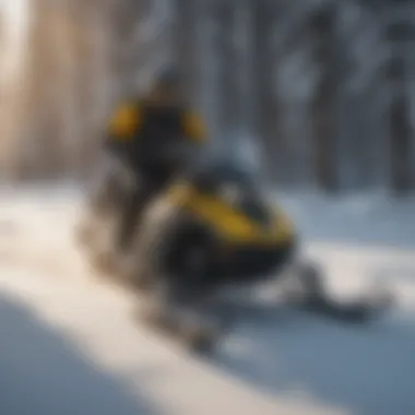 Snowmobiles ready for customization options