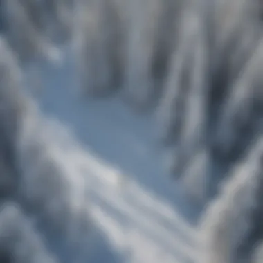 Aerial View of Snowboarding Trails on Mt. Hood Aerial shot of snowboarding trails on Mt. Hood