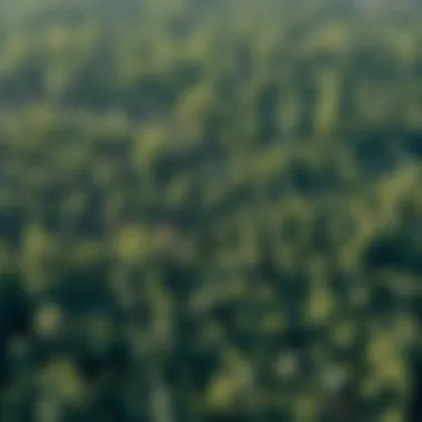 Spatial Analysis for Forest Planning Visual representation of spatial analysis in forest site planning