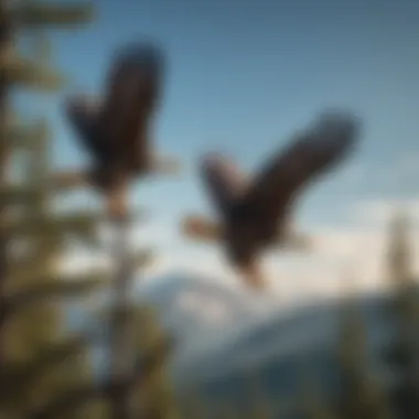 Eagles Soaring in Harmony Pair of eagles soaring together in a clear blue sky