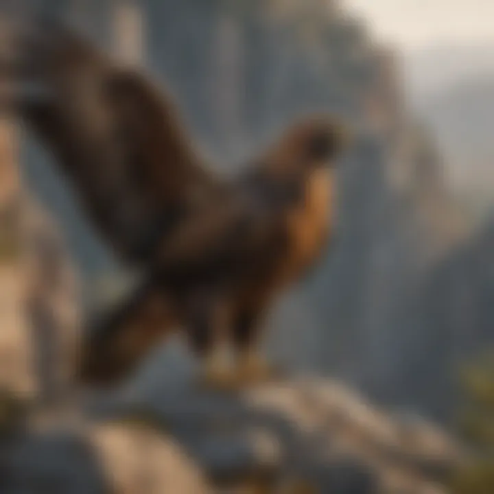 Golden Eagle perched on a rocky cliff