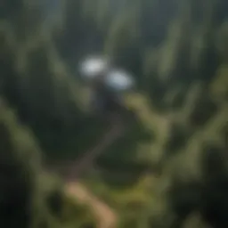 Satellite communication technology in a forest setting