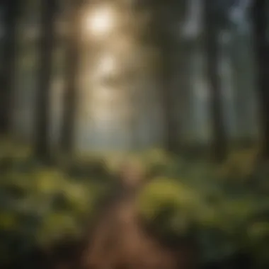 Sustainable forestry practices