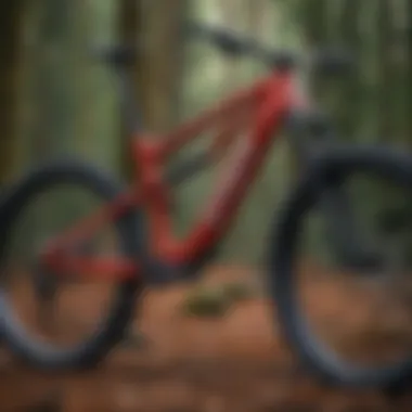 Detailed view of spur mountain bike's frame design