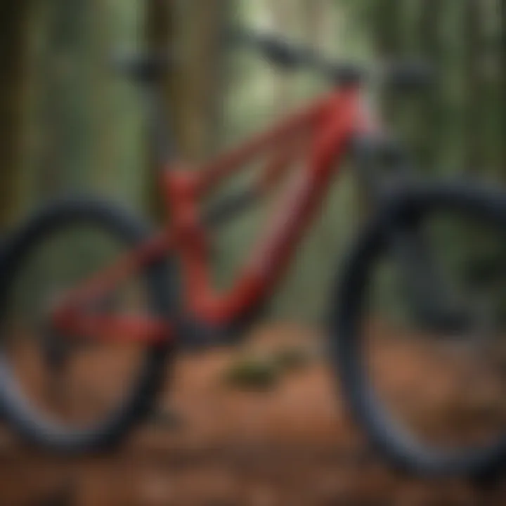 Detailed view of spur mountain bike's frame design