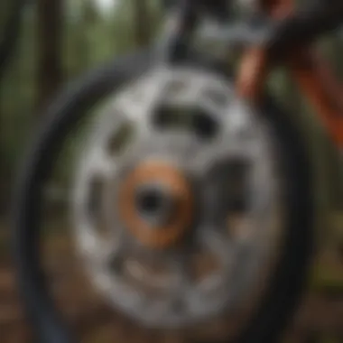 Close-up of spur mountain bike gears and technology