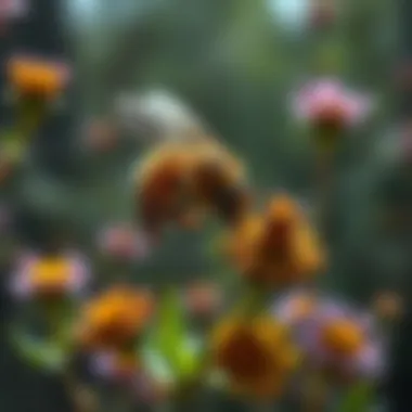 Bee-Friendly Habitat with Diverse Flora Bee-friendly habitat with diverse flora