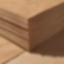 Close-up view of structural plywood layers showcasing its composition