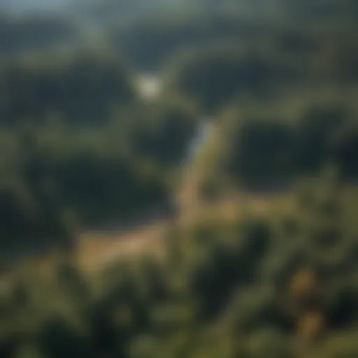 Aerial view of a forest with integrated technology