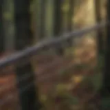A close-up of expertly tied fencing wire in a woodland setting showcasing durability.