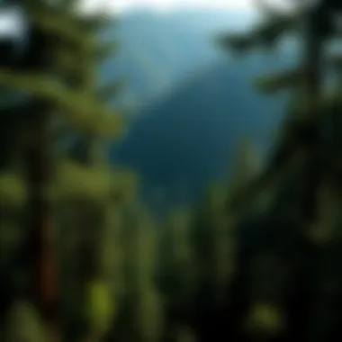 Impact of Deforestation on Biodiversity Human impact on forest ecosystems through deforestation