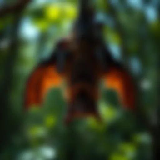 A close-up view of a bat hanging upside down in its natural habitat