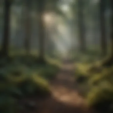 Cultural Significance of Forests Intact forest landscape emphasizing the cultural significance of woodlands