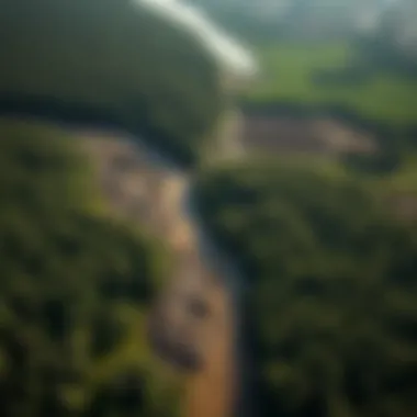 An aerial view of deforested land near a river