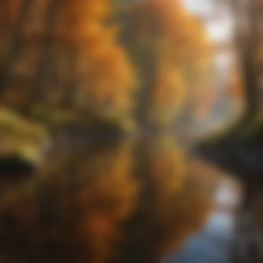 A serene forest river reflecting vibrant autumn colors, symbolizing the beauty of nature.