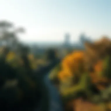 Ecological Harmony: The Importance of Tree Diversity in Urban Landscapes Diverse tree species contributing to ecological balance in a city