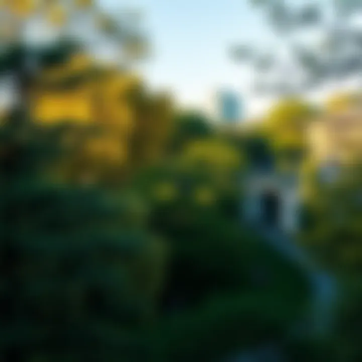 Urban Oasis: Celebrating the Role of Trees in City Parks A vibrant urban park showcasing various tree species and community use