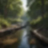 A river obstructed by fallen trees, showcasing the ecological impact of tree accumulation.