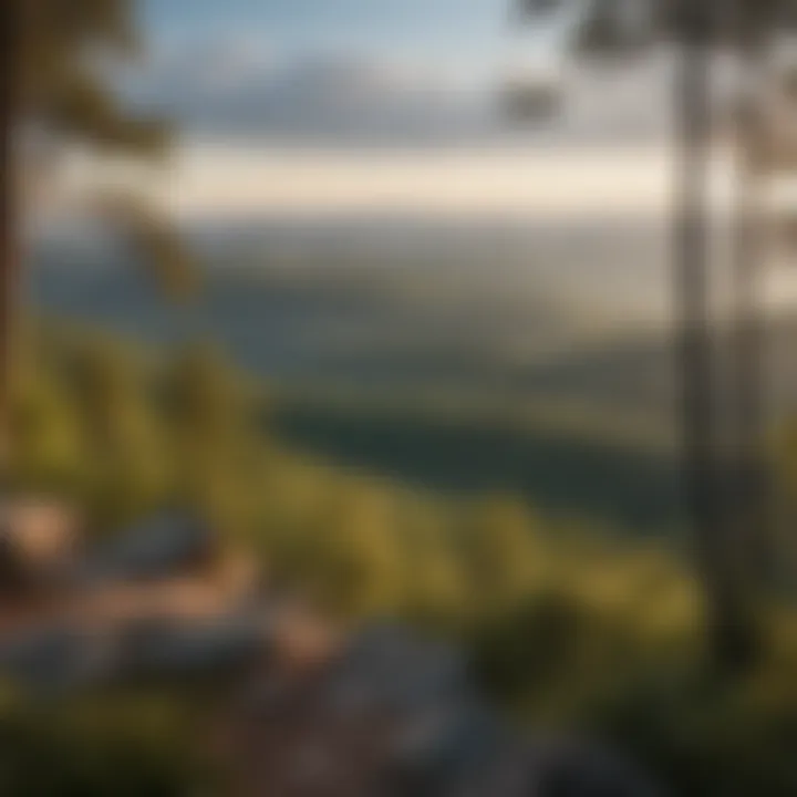 A panoramic view of the Ouachita Mountains from a scenic lookout