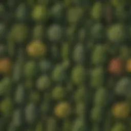 A detailed illustration of various tree species found in woodlands