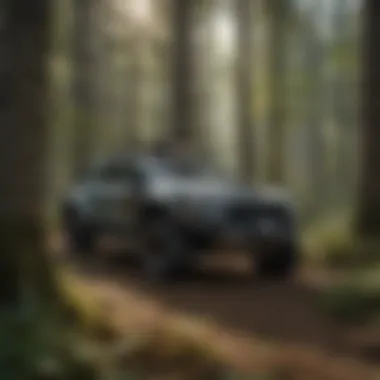 Triclopyr in Action: Managing Invasive Species in Forestry Application of triclopyr in a forest setting to manage invasive species