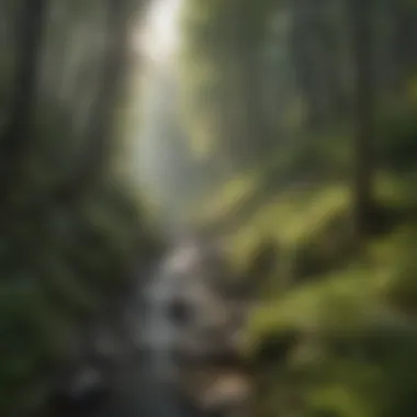 Diverse flora and fauna thriving in the ecosystems of Tuckerman's Ravine