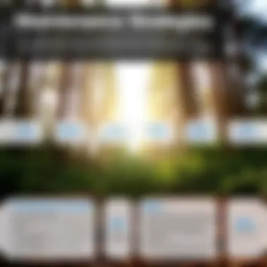 Infographic on maintenance tips for air compressors