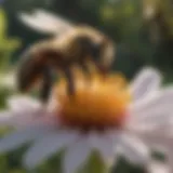 A close-up of a bee pollinating a vibrant flower