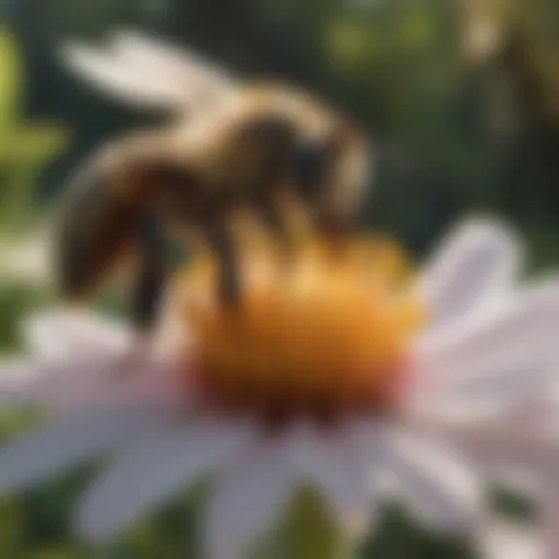 A close-up of a bee pollinating a vibrant flower