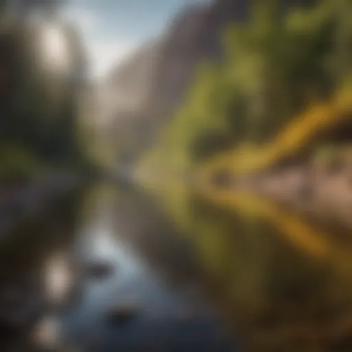 Scenic view of a serene Colorado river perfect for fishing.