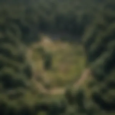 Before Clearing: Aerial Perspective Aerial view of ten acres of land before clearing