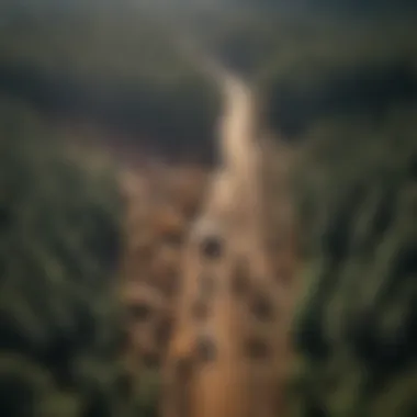 An aerial view of a logging site showcasing various heavy equipment