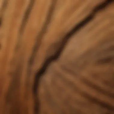 Close-up view of a wooden sample showcasing grain patterns