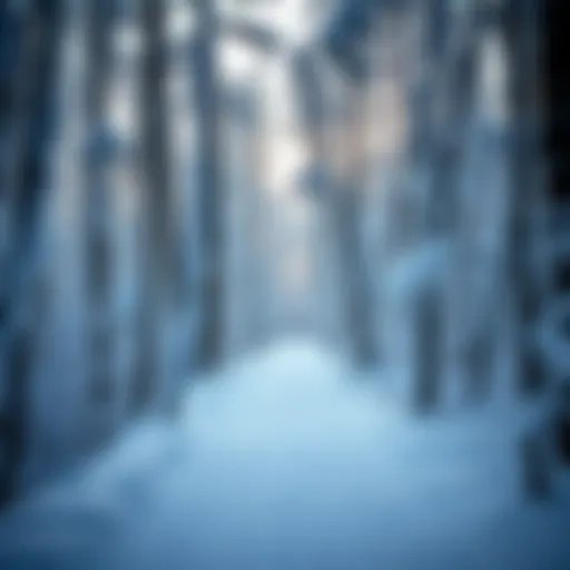 Winding Snowmobile Trail in Minnesota Forest Snow-covered trail winding through Minnesota forest