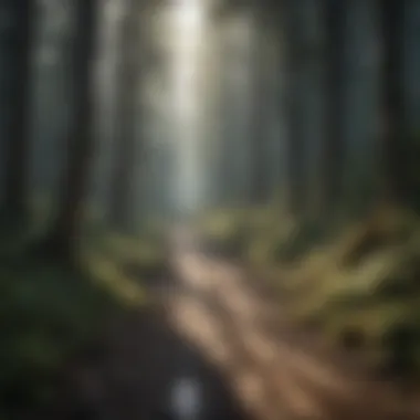 Illustration of forest ecosystems affected by road quakes and their aftermath