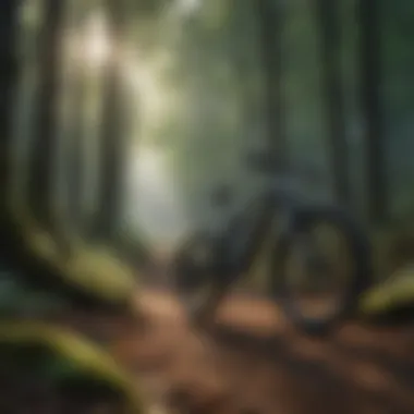 Exploring Woodlands with E-Bikes Scenic woodland area perfect for e-bike exploration