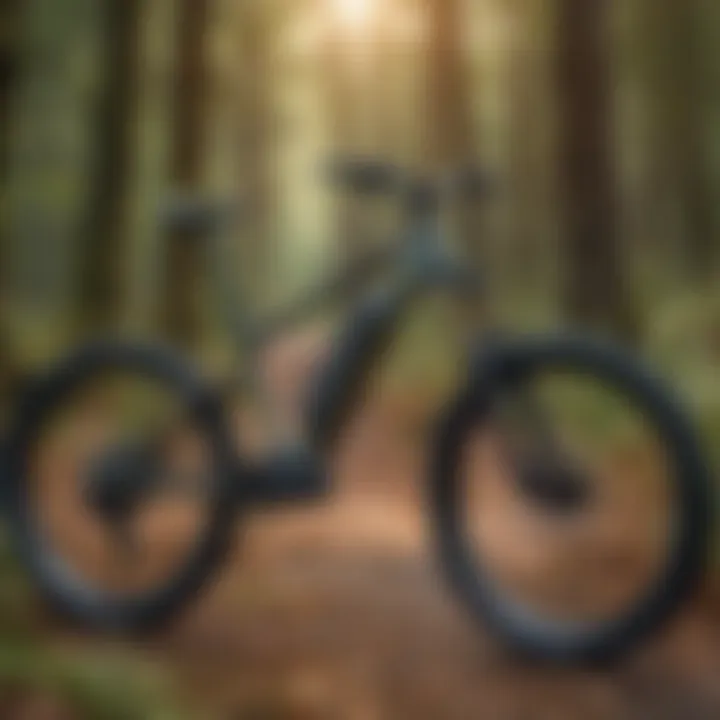 Technical specifications of a road ridge e-bike showcased