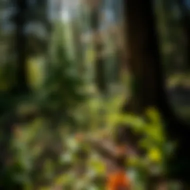 An overview of ecological initiatives supported by funding