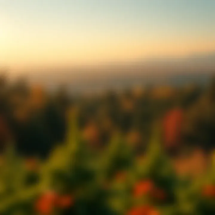 A vibrant landscape showcasing environmental stewardship