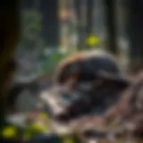 Beaver Dam Construction A beaver building a dam in a serene woodland setting