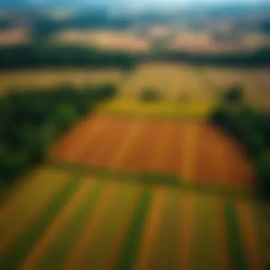 Vast agricultural fields demonstrating farming practices