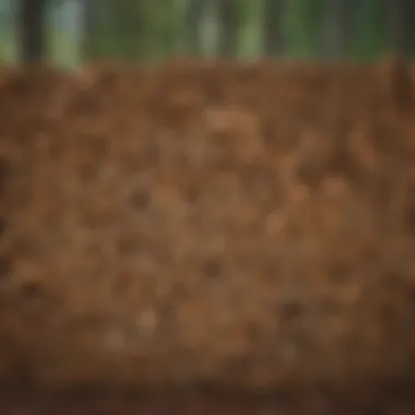 Cordwood Stacked Neatly A visual representation of a cord of wood stacked neatly
