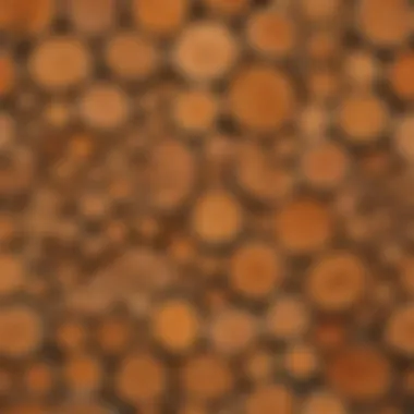 A cross-section of different types of wood showing volume variation