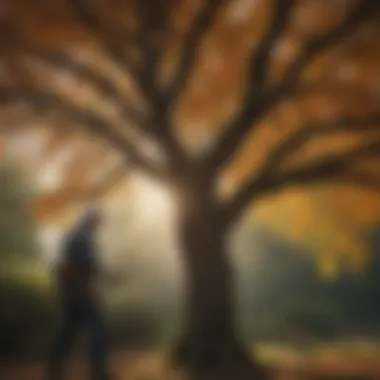 The Benefits of Pruning for Tree Health A well-pruned tree showcasing healthy growth