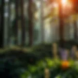 A vibrant forest ecosystem showcasing diverse plant and animal life.